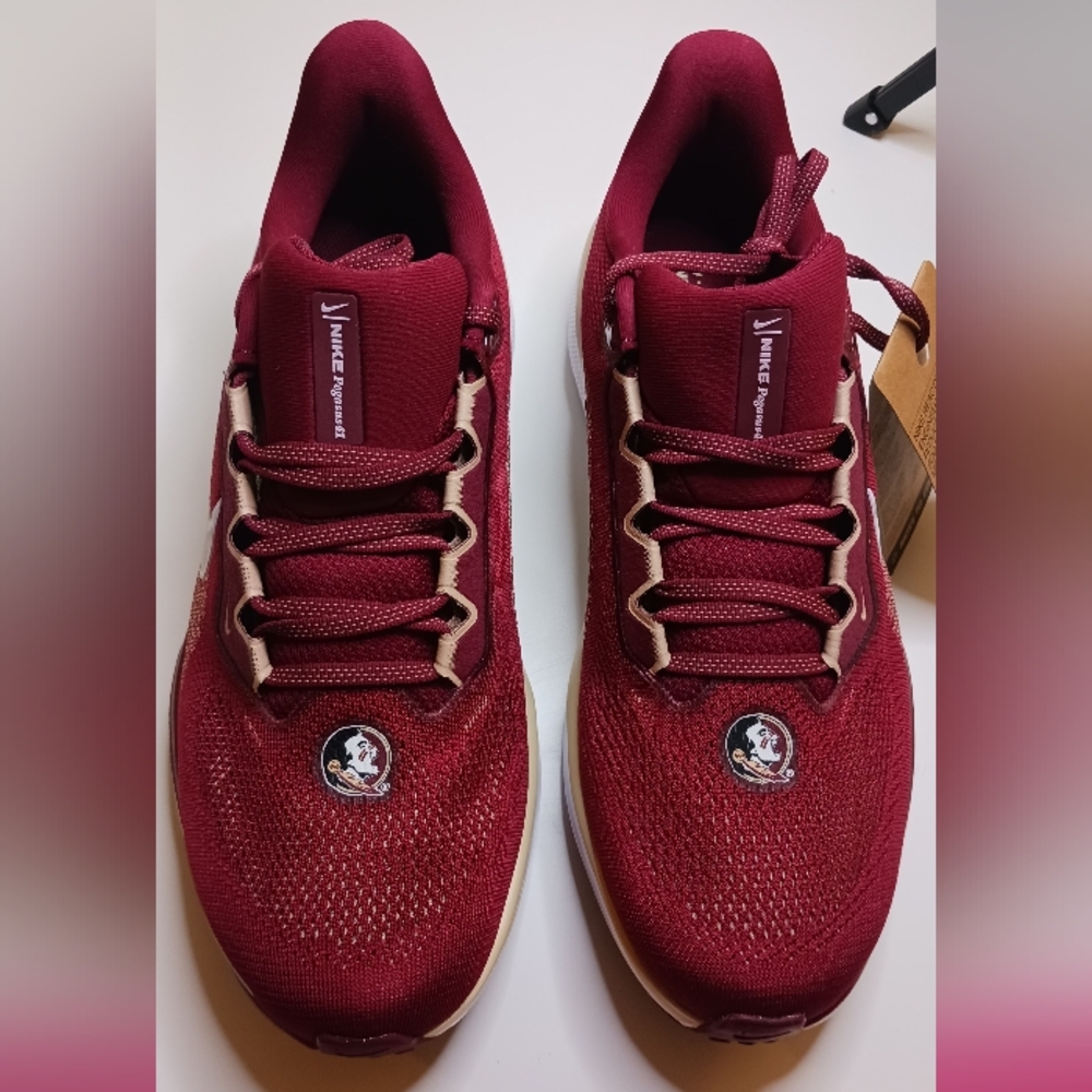 Florida State Pegasus 41 Men's Nike College Road Running Shoes